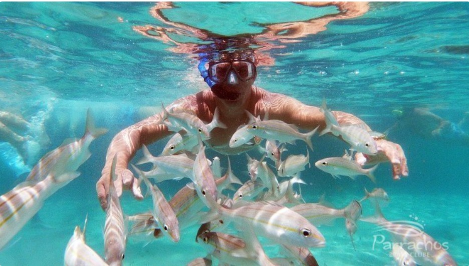 PARRACHOS DE MARACAJAÚ C/ PRAIA CLUB